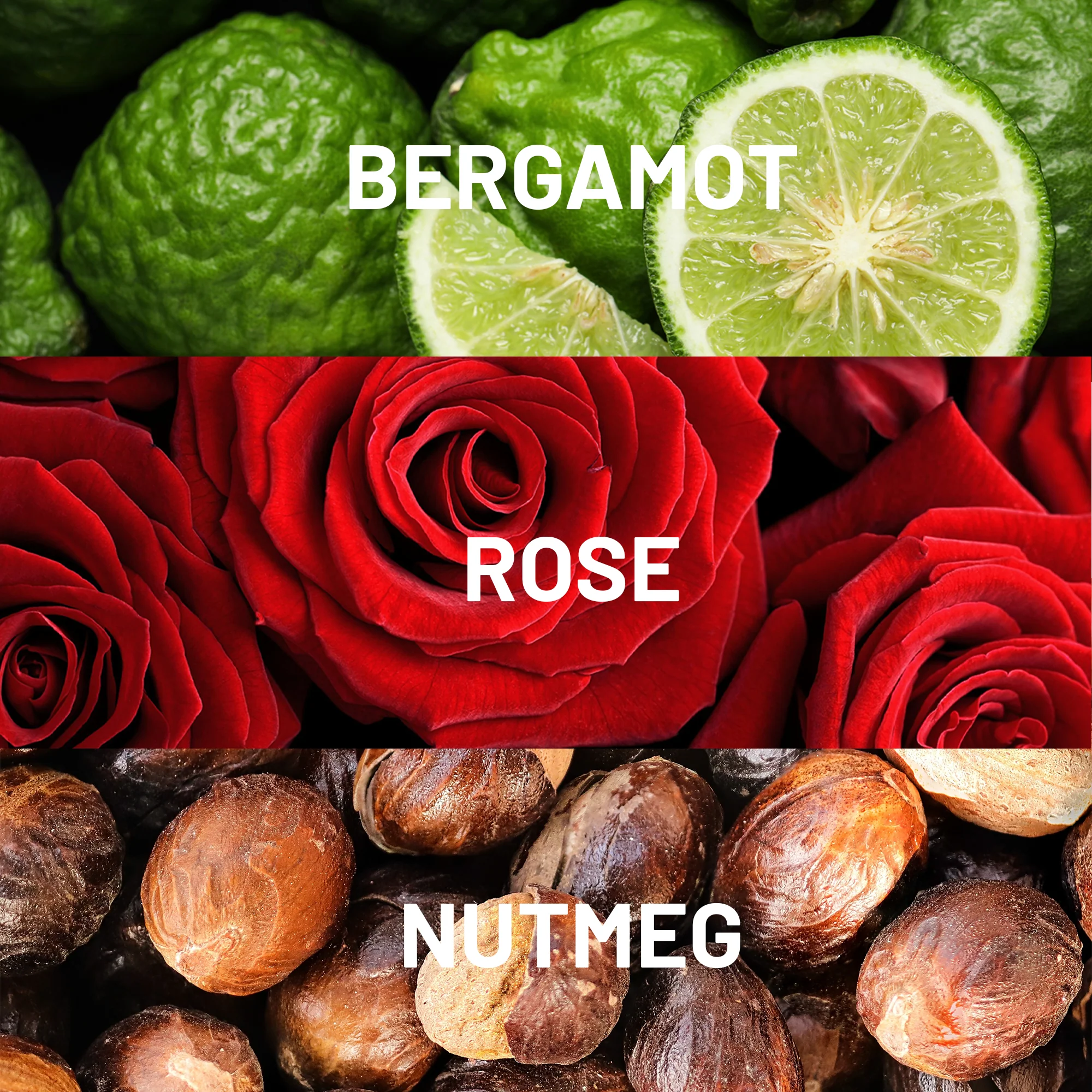 Bonbori - Image 2