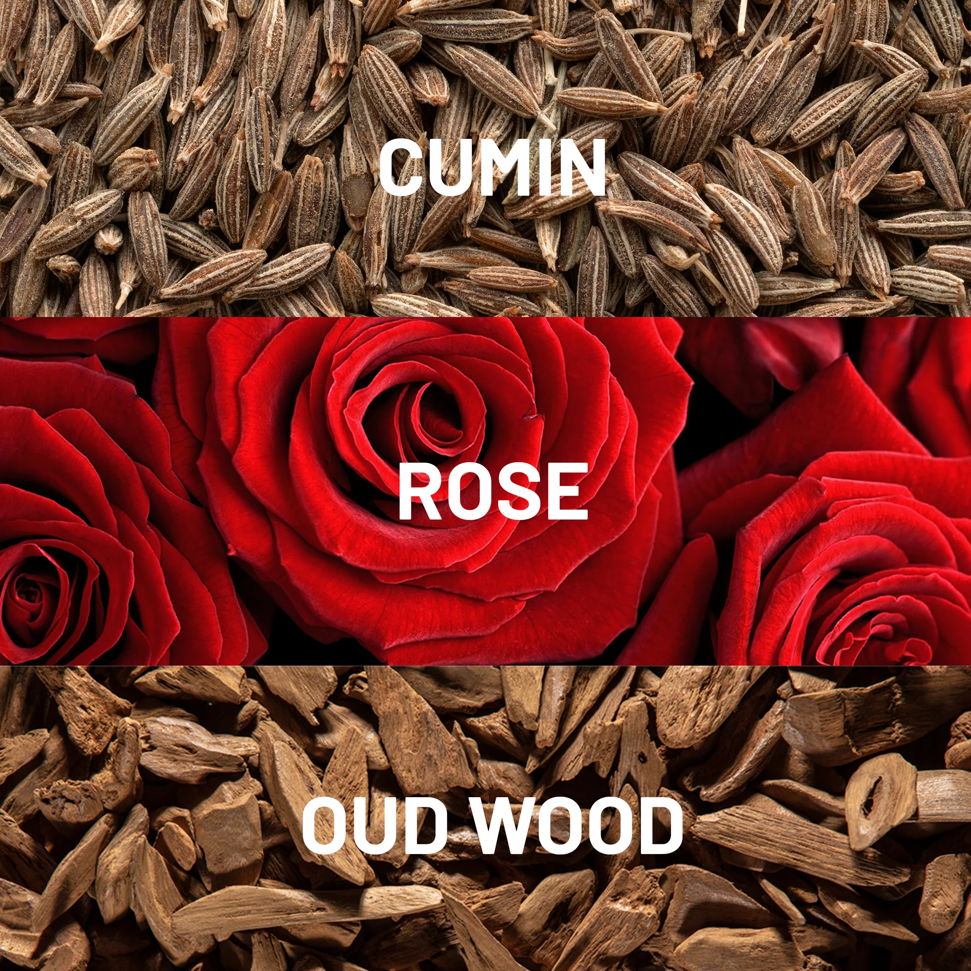 Desert Rose™ - Image 2
