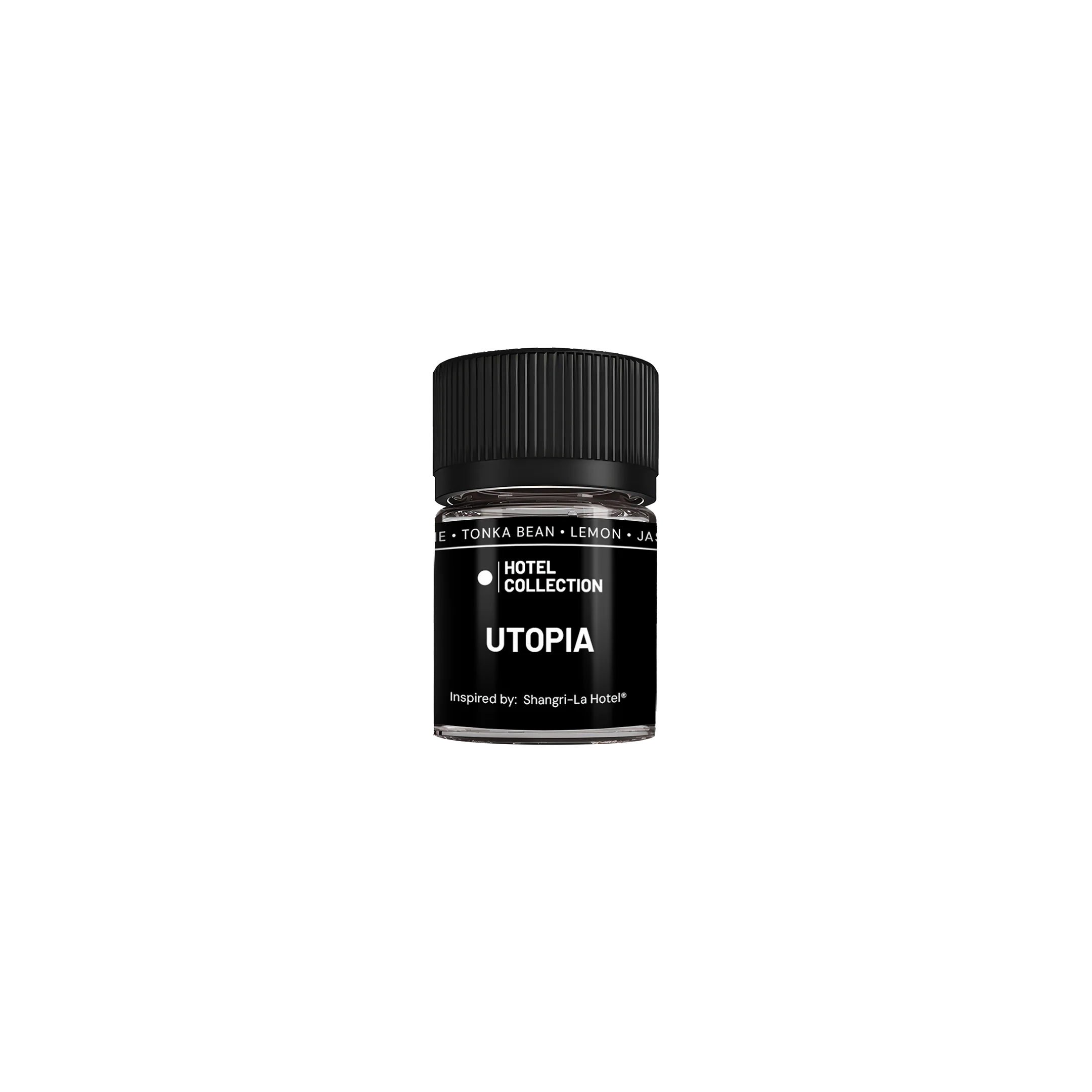 Loft 20mL Diffuser Oil - Image 20